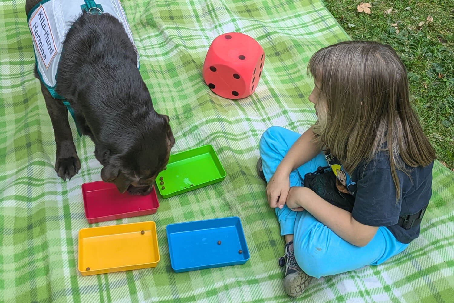Einführung in die Tiergestützte Pädagogik